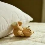 国际睡眠日丨请爸爸妈妈收好这份“宝宝睡眠指南”