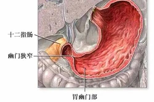 半导体激光治疗仪怎么样中医科新设备--半导体激光治疗仪_https://www.jmylbn.com_新闻资讯_第14张