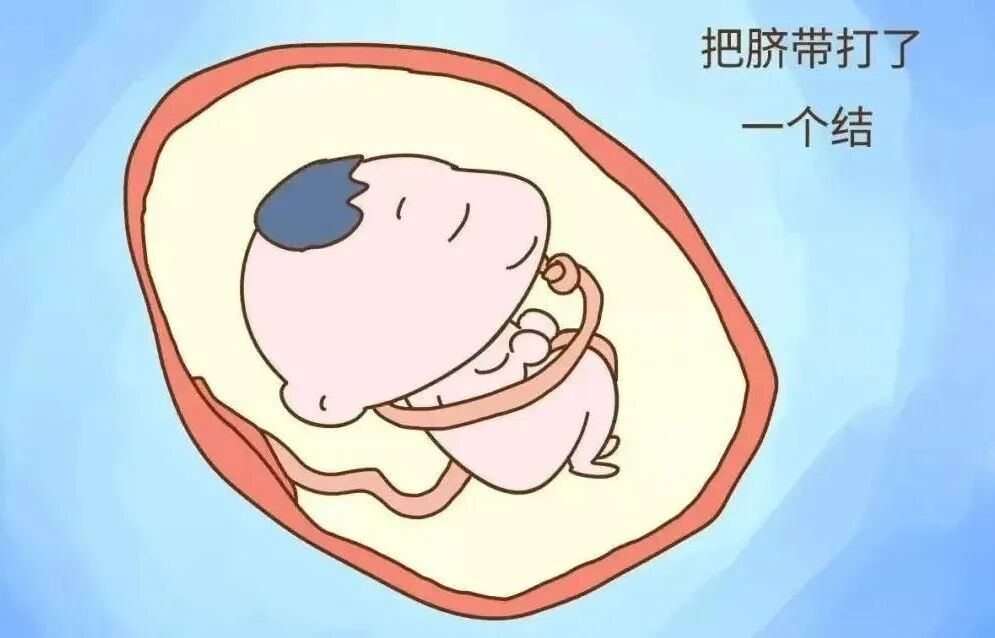 半导体激光治疗仪怎么样中医科新设备--半导体激光治疗仪_https://www.jmylbn.com_新闻资讯_第15张