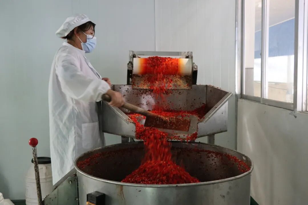 每天有16名工人全天候对辣椒进行烘干,上料,分拣以及糟辣椒生产