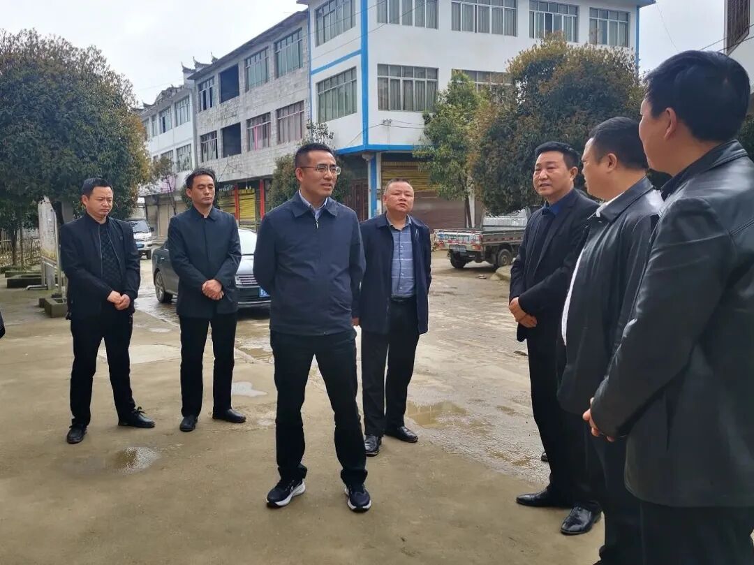 在土地坳镇,代忠义深入竹花社区铁皮石斛基地,实地