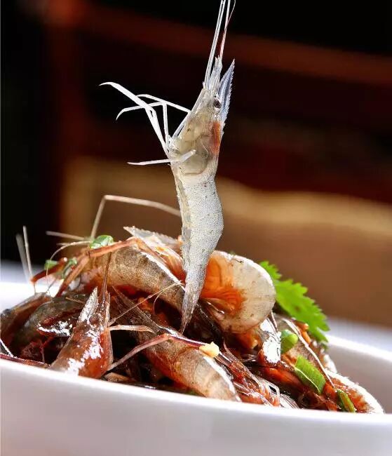 活炝虾 | 彭瑞高