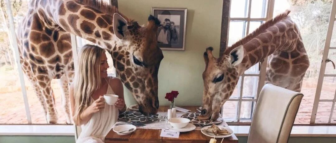 全球最酷的十间酒店，每一间都值得你好好体验