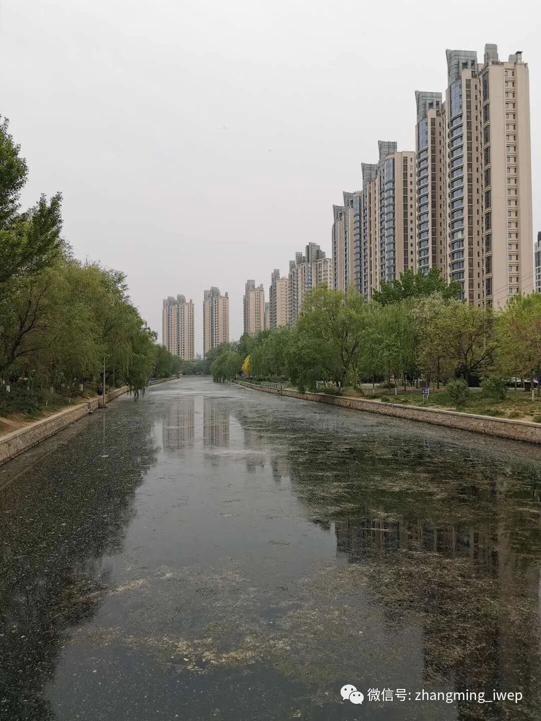 张明 | 为什么2020年中国政府仍应设置年度增长目标？
