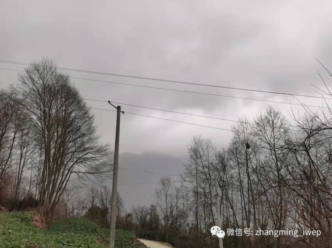 GEIF年度报告之二（全球宏观经济篇）：疫情肆虐增速回落，货政收缩市场波动
