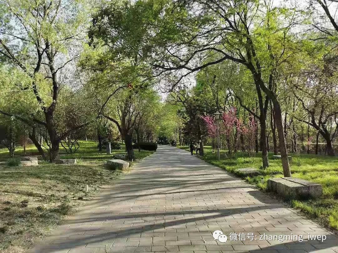 生活偶记之公园大爷（附彩蛋）