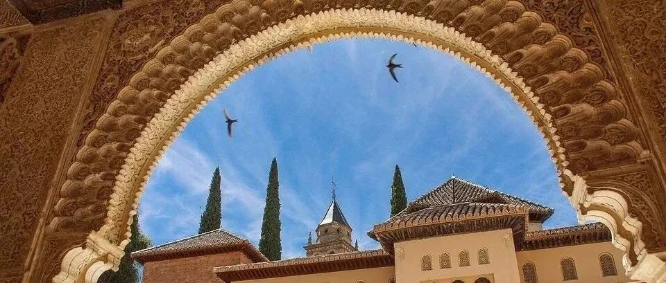 田涛：小人物创造大历史