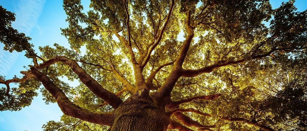 华为前副董事长推荐书籍《基业长青》 | 周末荐书