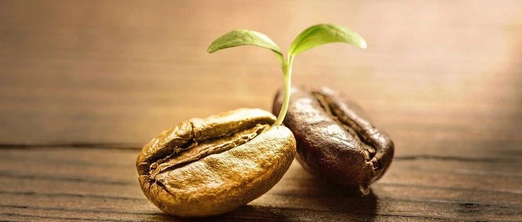 华为顾问田涛：企业家的初心决定了企业可能的生命长度