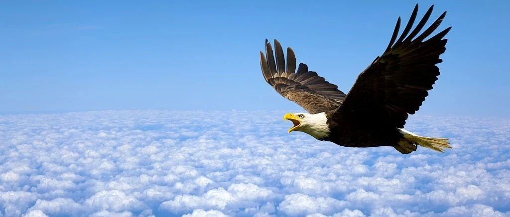 管理百问 | 企业家的领导力，如何在企业中落地？