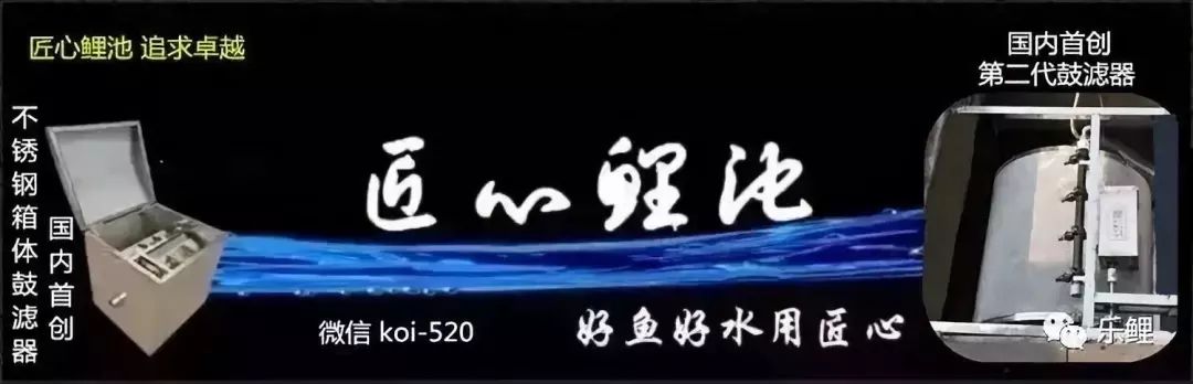 致富养鱼视频_致富经养鱼一年多赚1000万_养鱼致富经