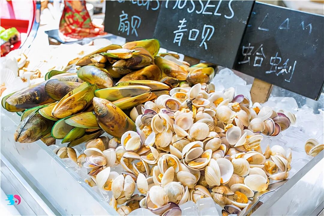 花甲清洗技巧与食用禁忌：哪些部位不能吃？正确处理方法全解析