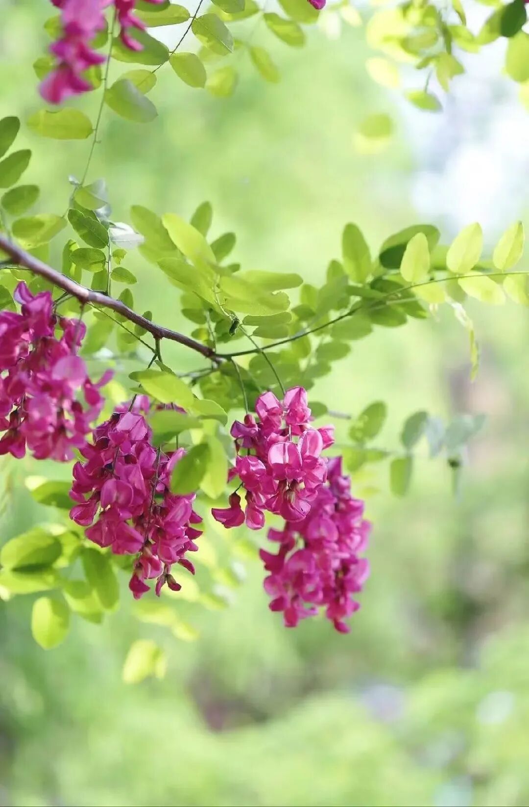 平安健康，是你最大的福气(平安健康,是你最大的福气英语翻译怎么说)