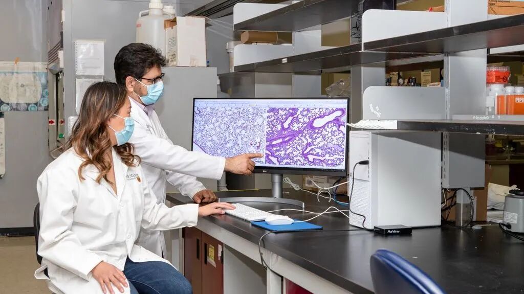 640 - 2025-05-22T145346.706.jpg