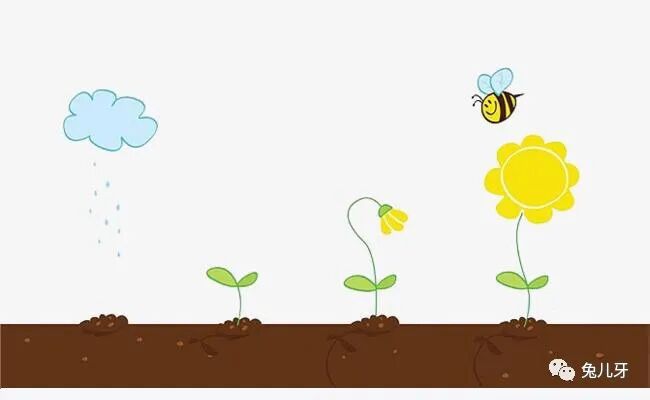 过程比结果更重要