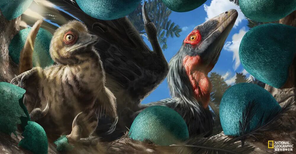 发现棘龙是游泳健将之后,艺术家们对恐龙复原图也做出了改进,如今棘龙