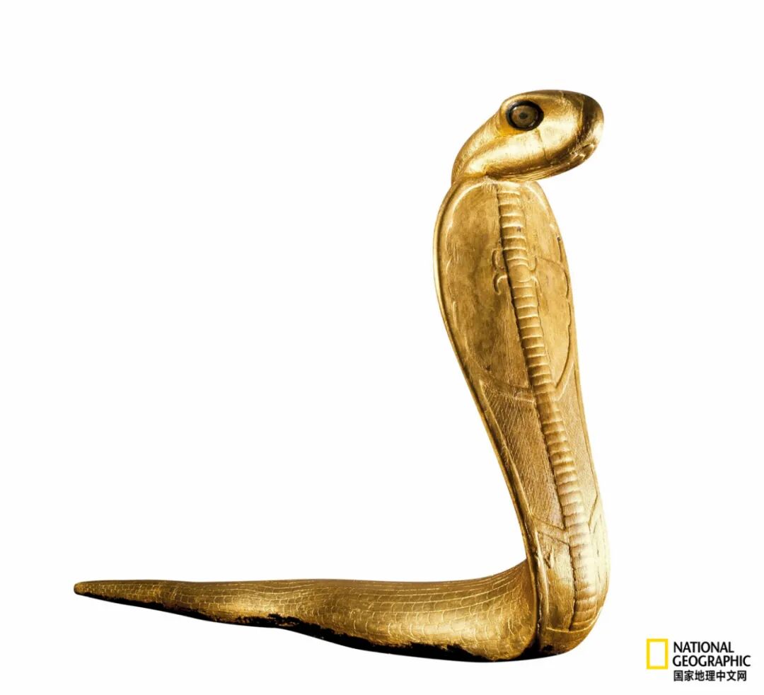 古埃及的 众神宇宙 竟是动物世界 Hi有料