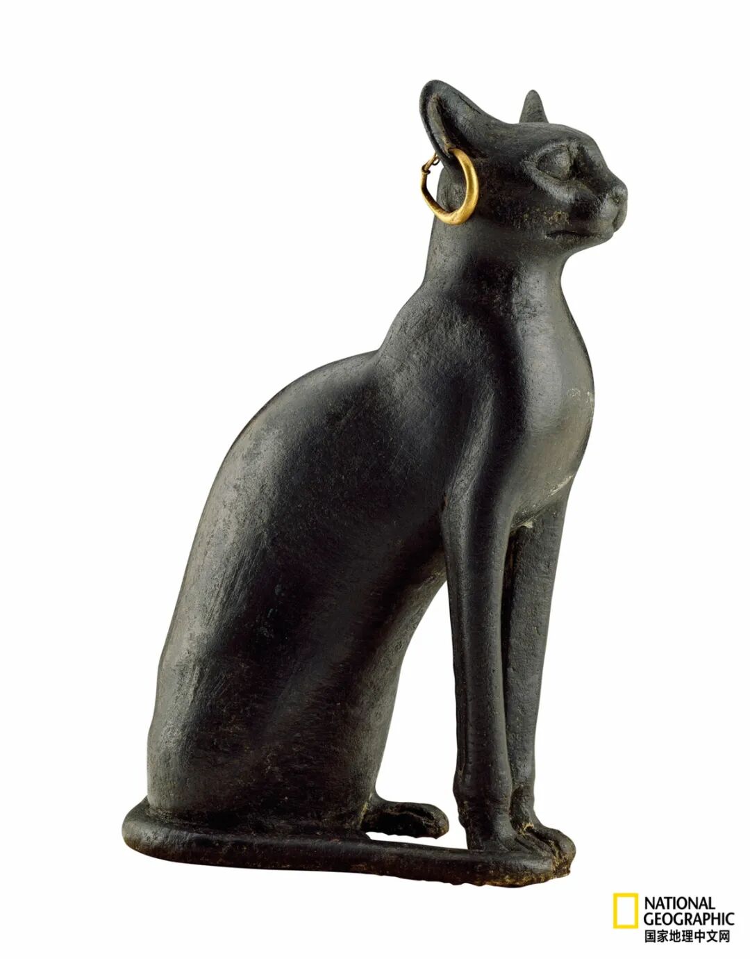 古埃及的 众神宇宙 竟是动物世界 Hi有料