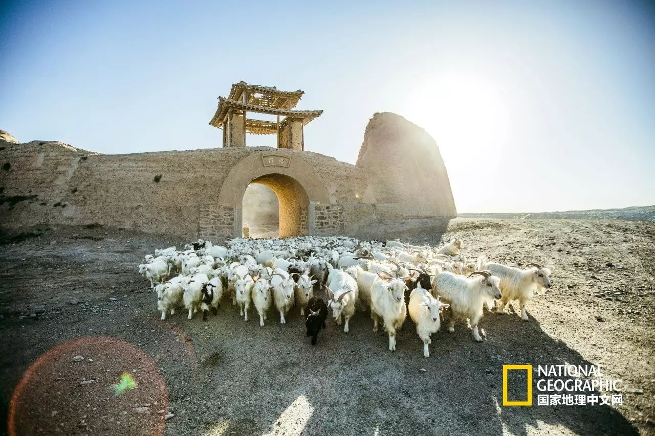 永泰古城 放完羊 看星星 被大西北戈壁上的這座龜城感動到了 國家地理中文網 微文庫