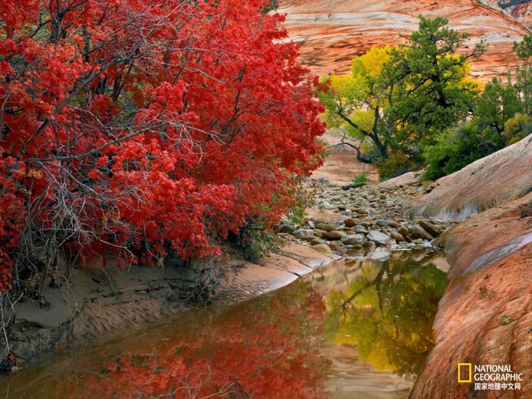 立秋 雲天收夏色 木葉動秋聲 國家地理中文網 微文庫