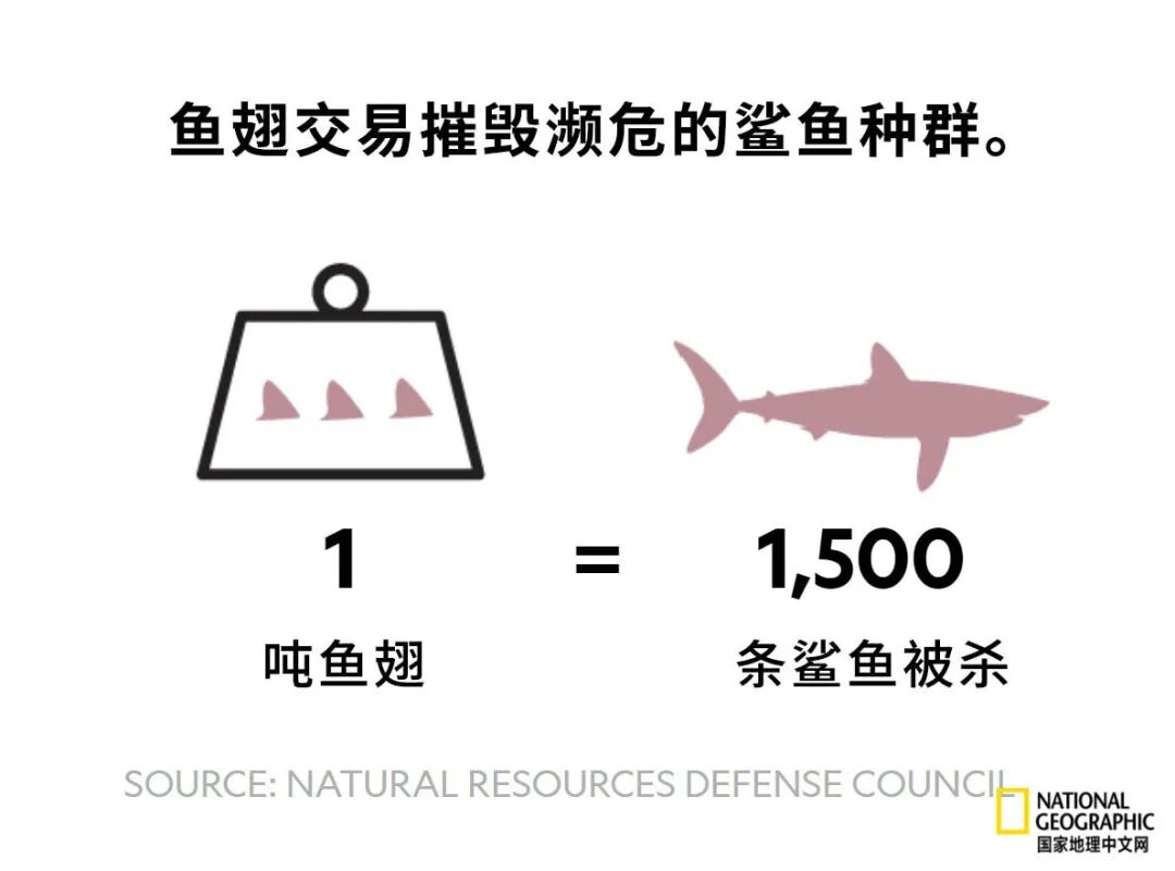 我长得丑就该死吗 潜水游世界 微信公众号文章阅读 Wemp