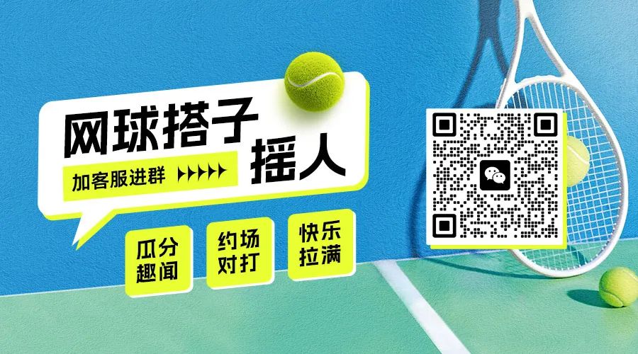 德约科维奇历史记录