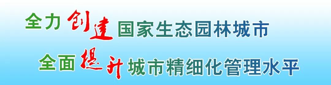 市工程检测咨询集团通过CNAS国家实验室认可复审插图8