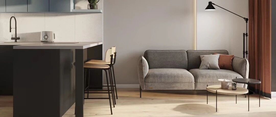 52㎡ 一居室，收纳和撞色完美结合！