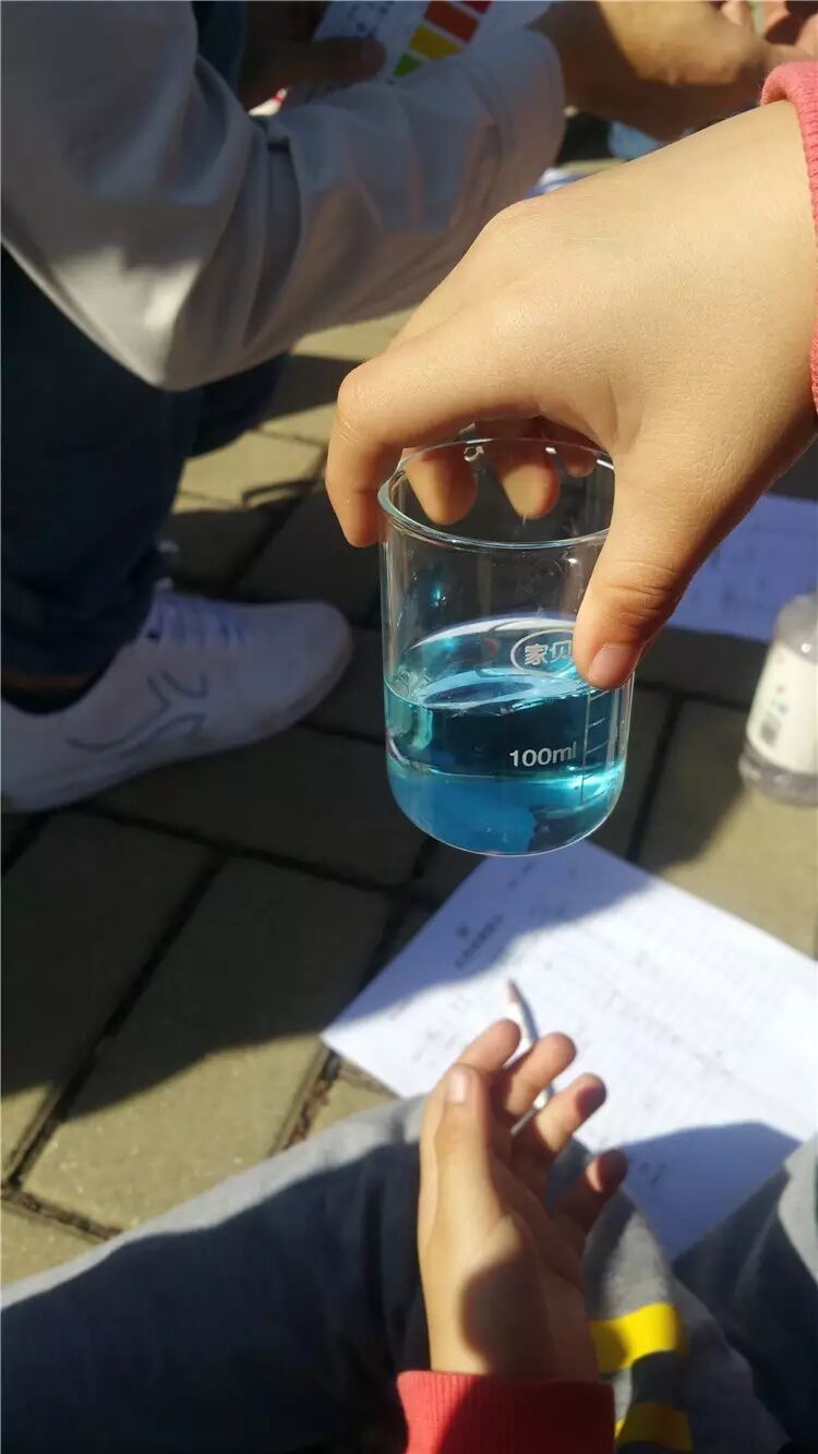 "我为滇池把把脉"水质检测化验活动回顾