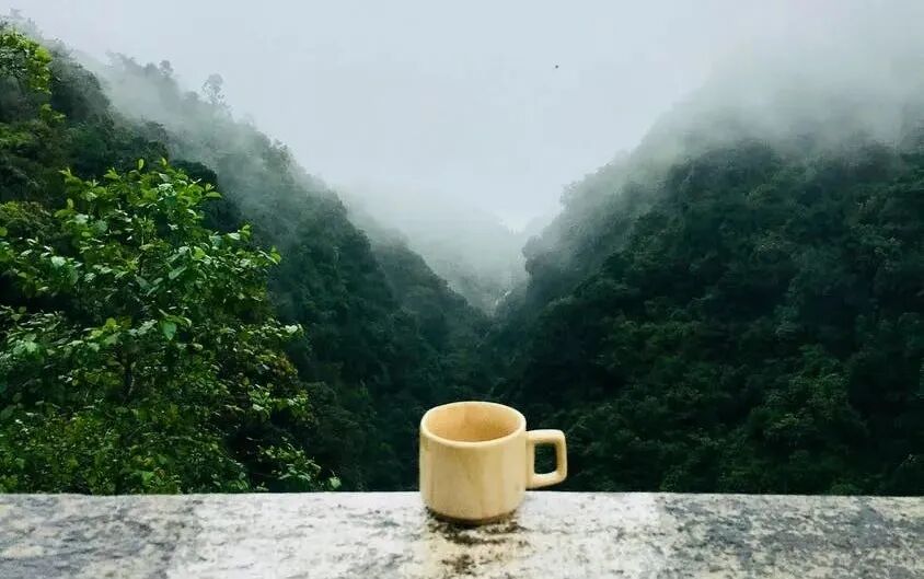 禅茶养生的作用