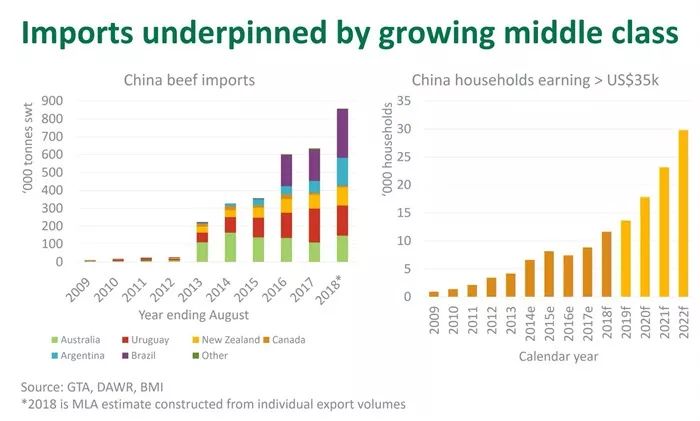 中国牛肉进口大幅增加，澳洲出口产品更多元化