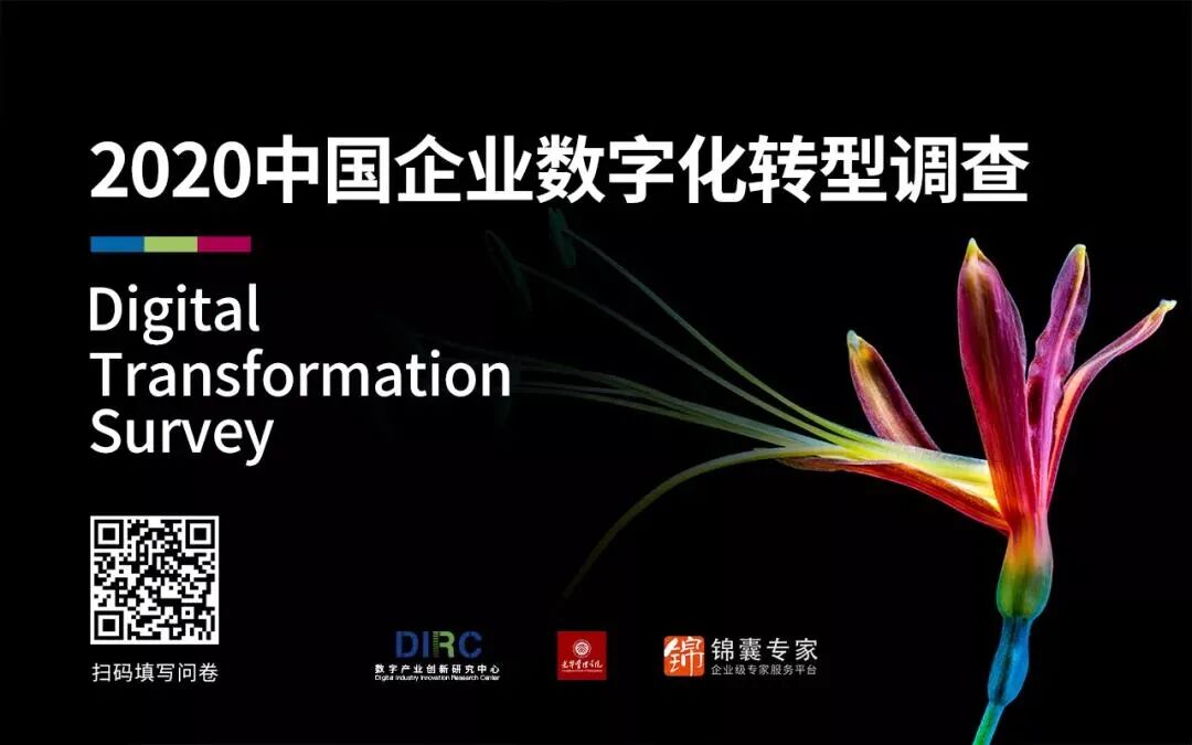 所有人 中国数字企业白皮书 拍了拍你 快来领取限时免费福利 首席数字官 二十次幂