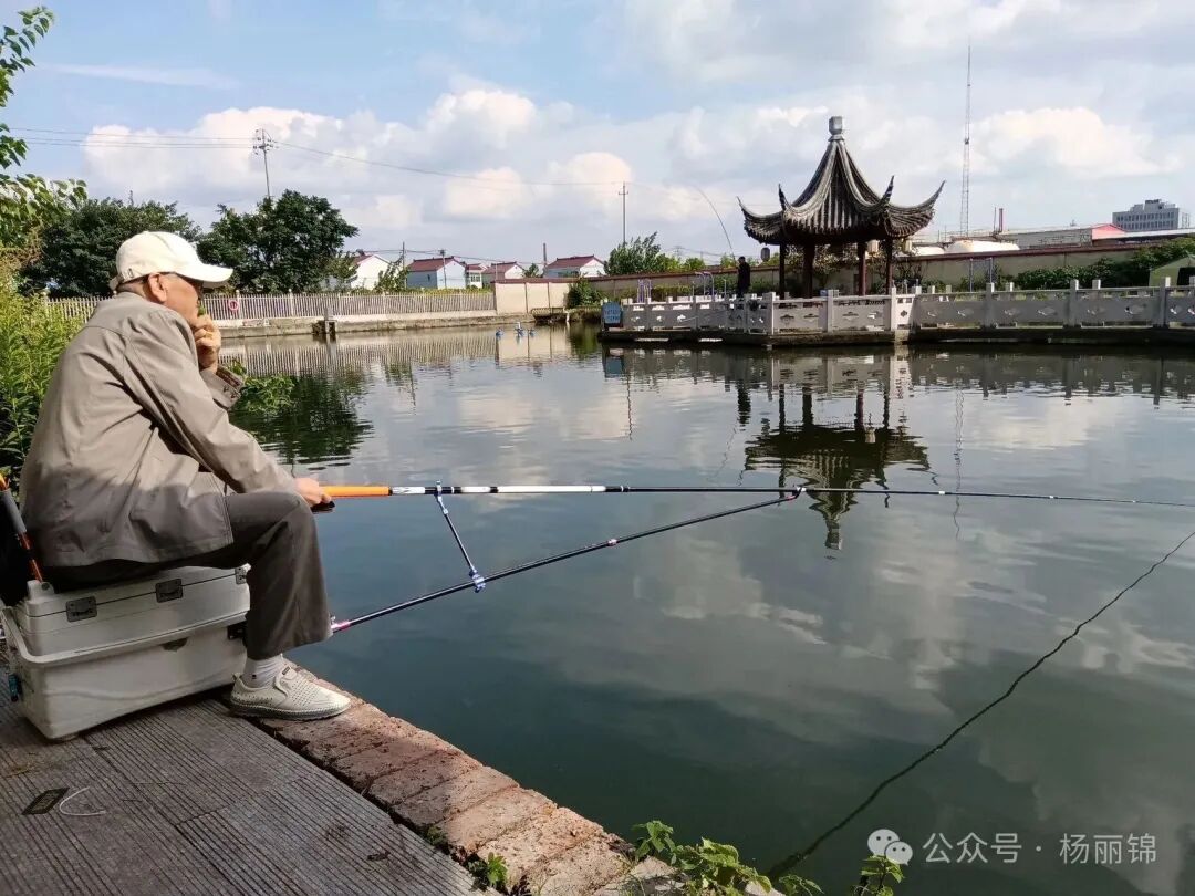 护城河风景