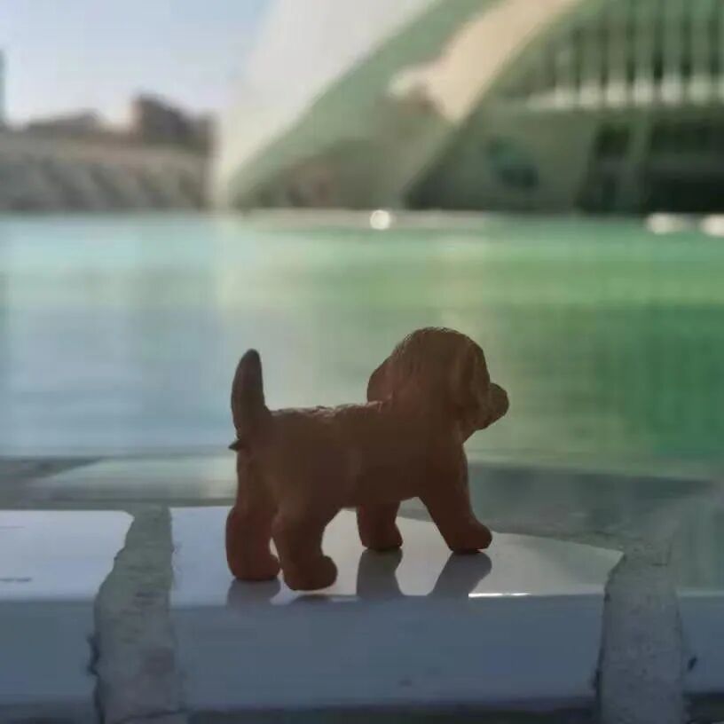 吃乌头鱼有什么营养价值【和平精英外免费科技苹果版】