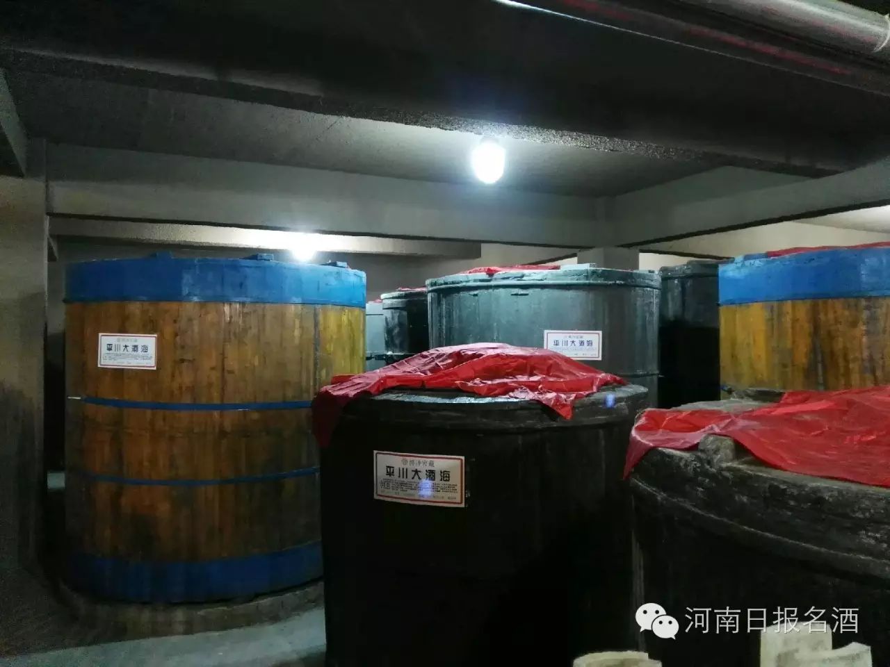 平川小白瓶酒多少钱图片