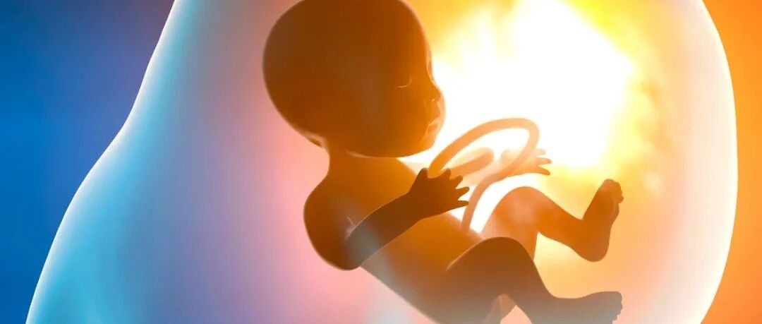 围产期母婴健康面临新挑战，这项研究给出了解决方案