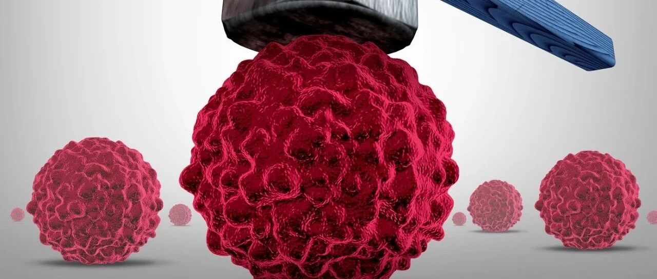 治疗癌症 斩草除根不是唯一解