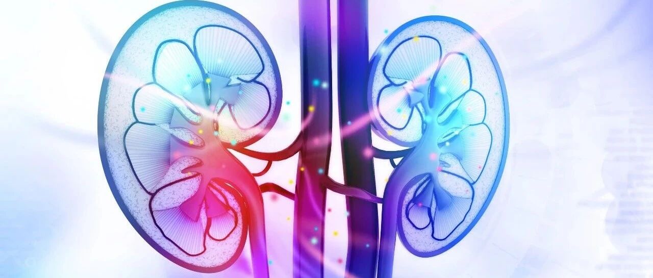 肾结石手术如何快步挺进“日间时代”？