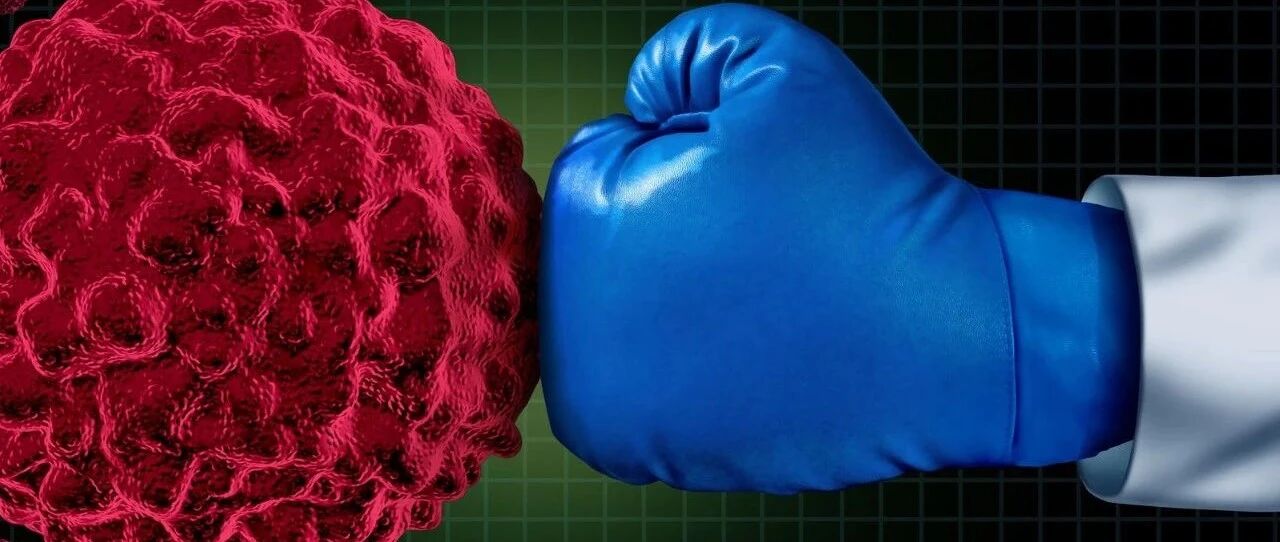 肿瘤介入治疗 让更多患者受益