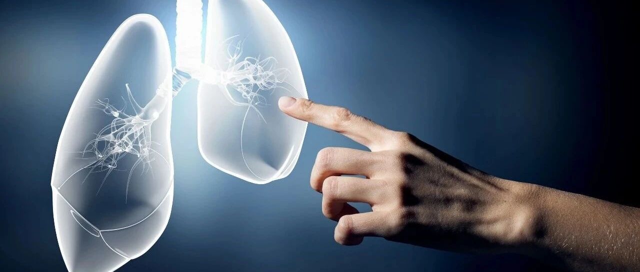 探求 | 新冠患者随访研究揭示了什么？