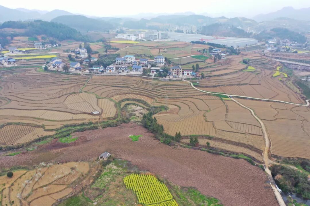 余庆县龙溪镇不负好春光田间管护忙