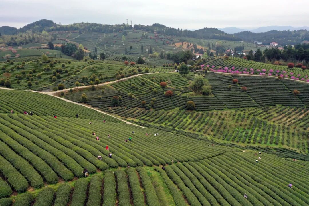 场景引客住宿留客业态聚客余庆场景住宿多业态加快构建旅游生态圈