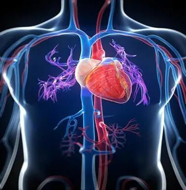 心肺功能仪怎么使用前沿技术｜淮北朝阳医院率先引进左右心功能同步检测分析仪开展全心功能检测_https://www.jmylbn.com_新闻资讯_第3张