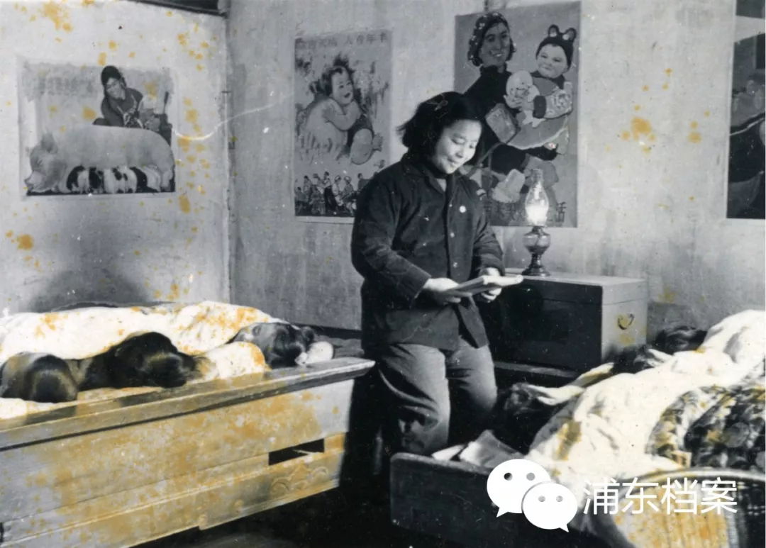 百年来,浦东换了几个名字? 百年来,浦东换了几个名字?