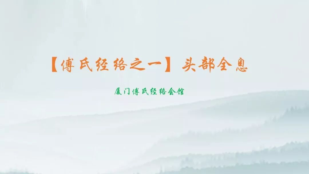 【傅氏经络之一】头部全息