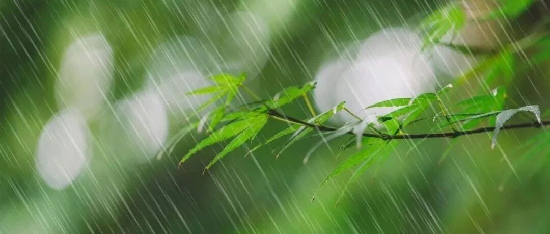 【湿地课堂】赵米英：直接描写和间接描写在昆明的雨中相得益彰——《昆明的雨》教学设计