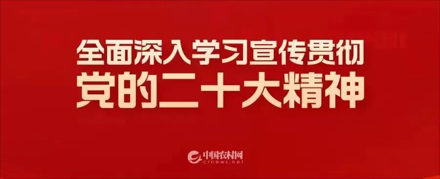 评论丨以新型集体经济赋能乡村振兴(图1)