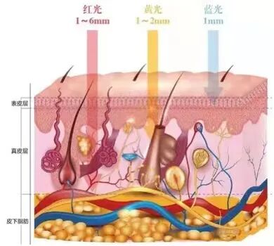 冷红光治疗有什么作用【黄骅市医院医疗服务能力提升系列】红蓝黄光动力治疗仪 让您的皮肤更健康_https://www.jmylbn.com_新闻资讯_第6张