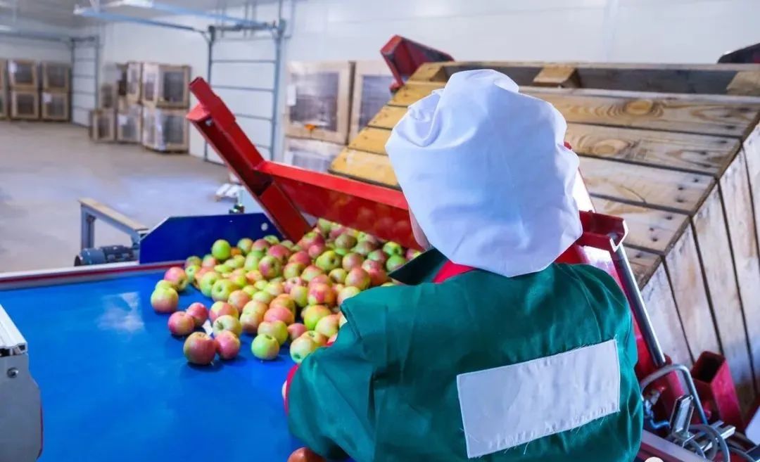 生鲜配送企业中的分拣管理为什么这么难? - 订货猿