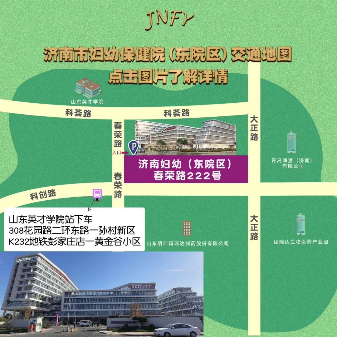 排卵第十天基础体温下降